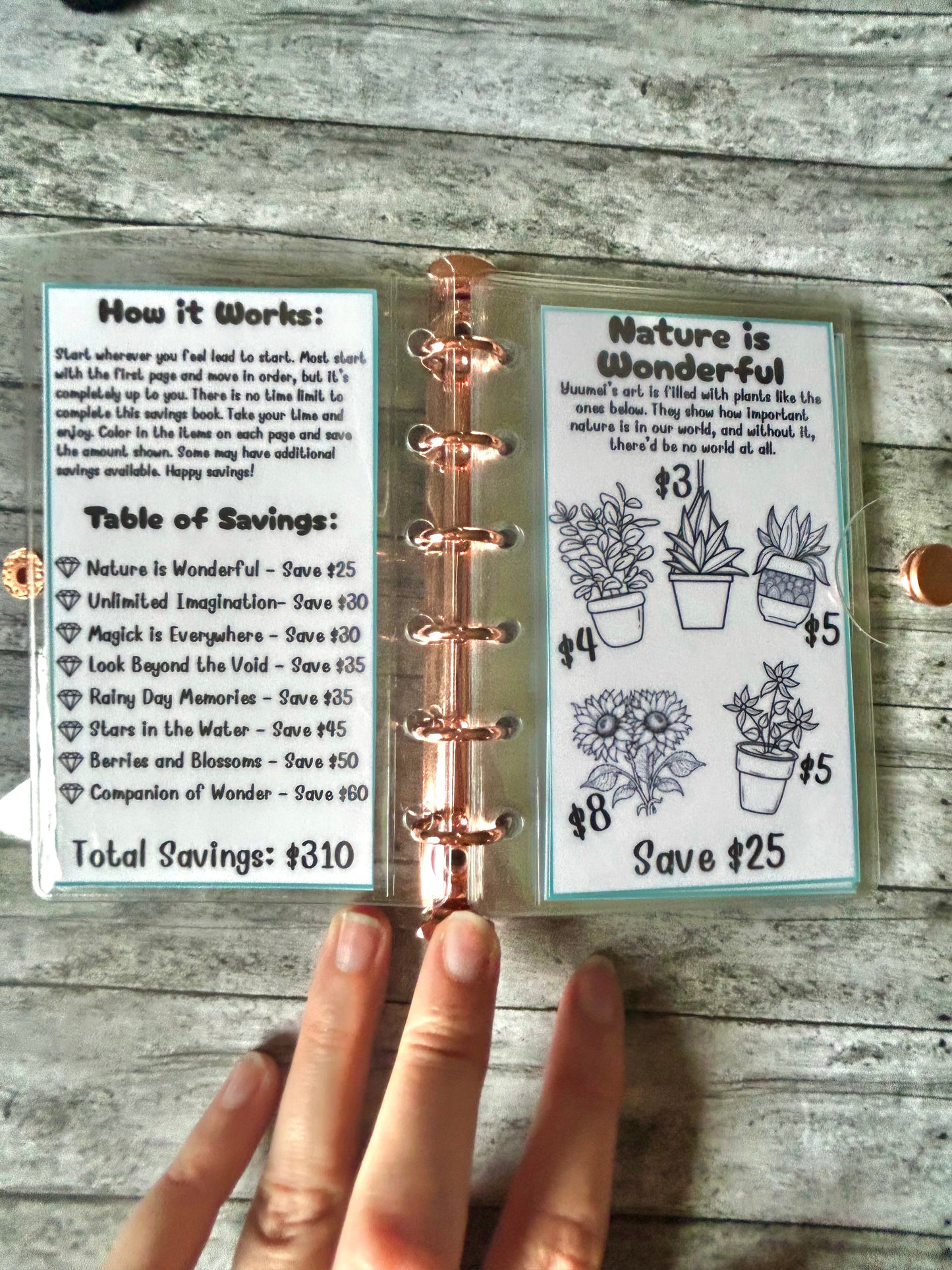 Save with Yuumei Mini-Binder Savings Challenge